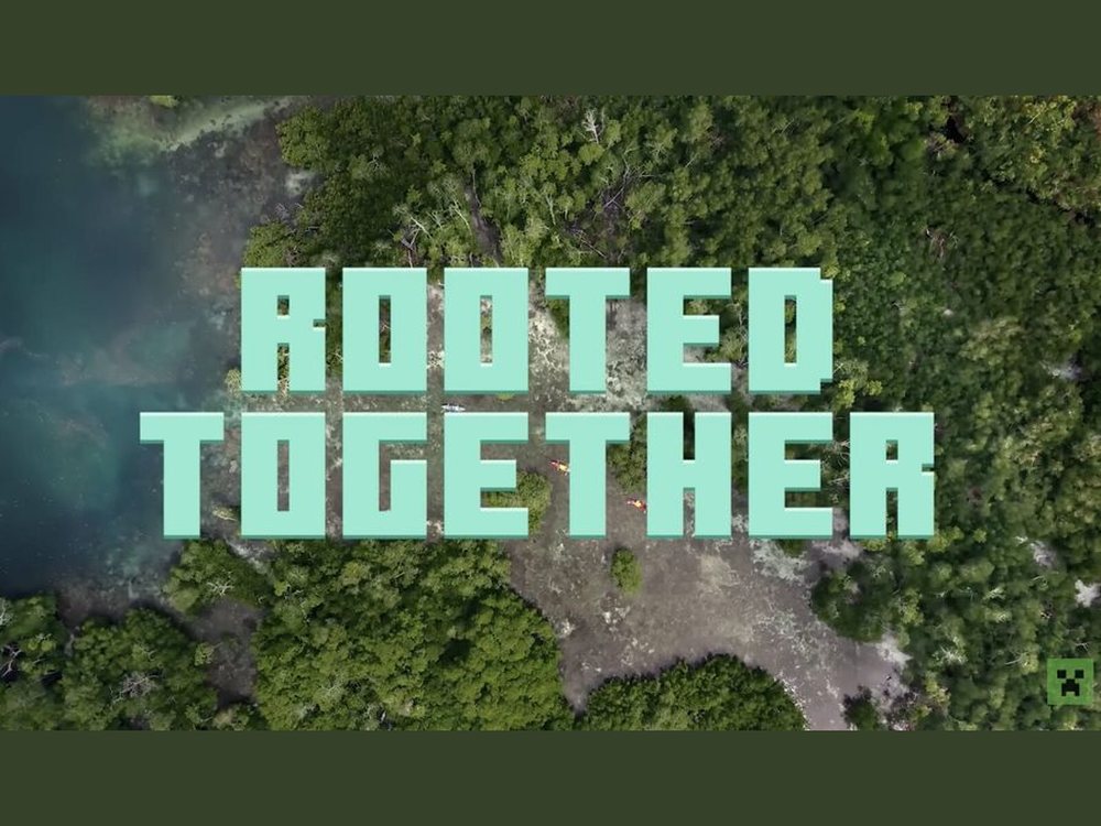 Rooted Together campaign artwork